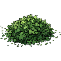 chopped fresh cilantro