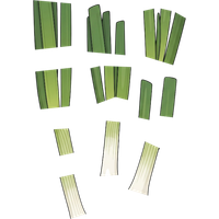 Inch-long green onion pieces