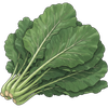 Collard green