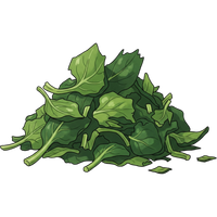 roughly chopped spinach