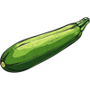 Zucchini