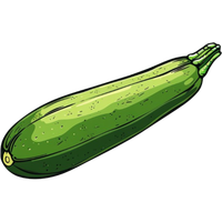 zucchini
