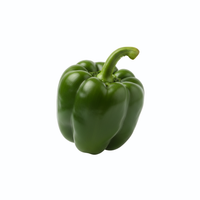 Photography Green Bell Pepper