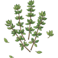 thyme sprigs