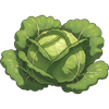 Green cabbage