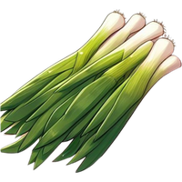 Scallions