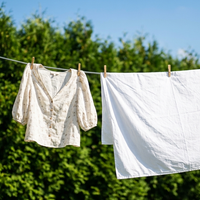 Deep Clean Laundry Reset