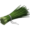 Chive