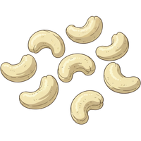 Raw cashews