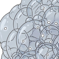 Undissolved powder crystals hiding in the suds