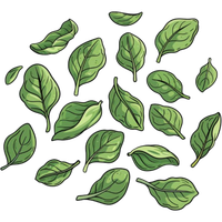 baby spinach