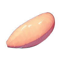 Boneless skinless chicken breasts