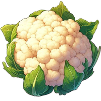 Cauliflower head
