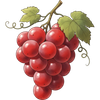 Red grape