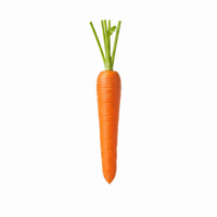 Photography Carrot