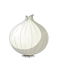 White onion