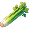 Celery