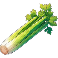 Celery stalks