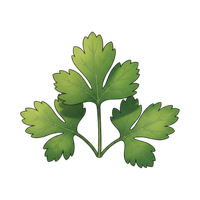 Fresh parsley or basil leaves