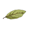Bay leaf