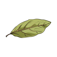 Bay leaves