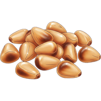 Roasted pine nuts
