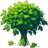 Parsley