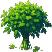 Parsley