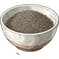 Cumin seeds