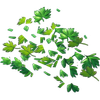Minced parsley