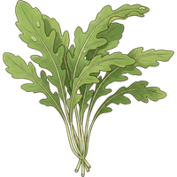 Arugula